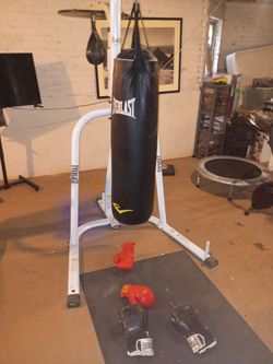 Punching bag with speed bag