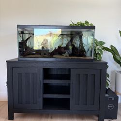 Aquarium/reptile Setup 