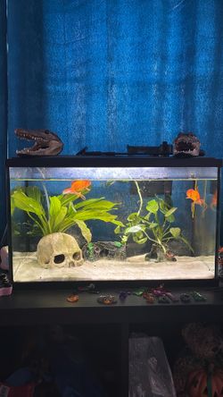 Fish tank