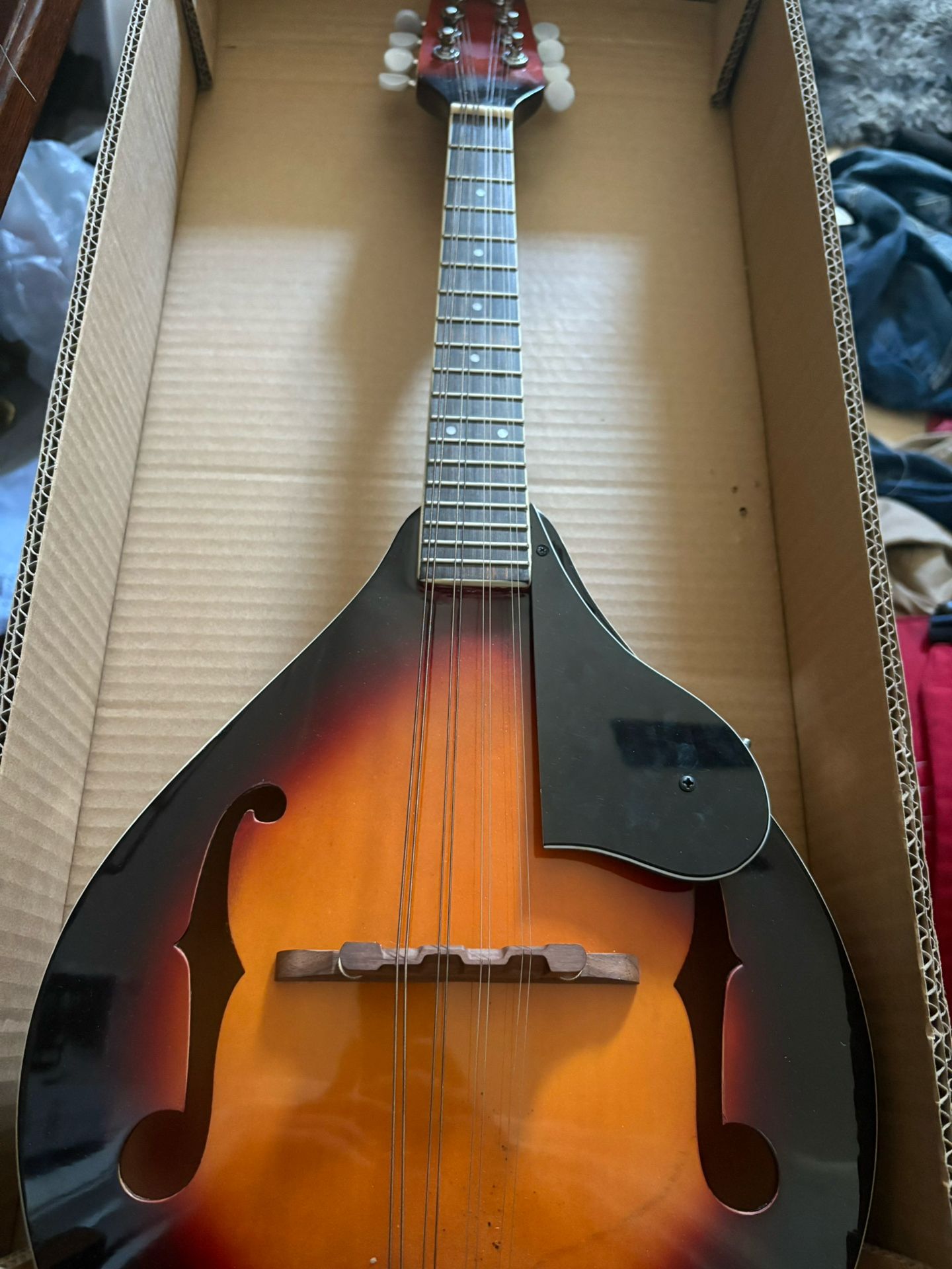 Mandolin