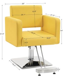 Salon Chair/barber Chair