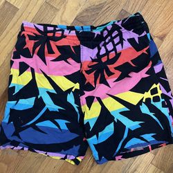 Vintage Surfer Shorts / Swimming Trunks / Large