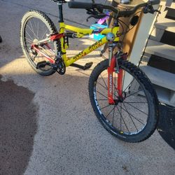 Mountain Bike