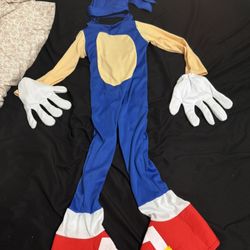 Sonic Costume
