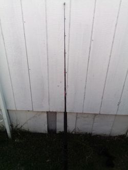 Silstar Fishing Pole