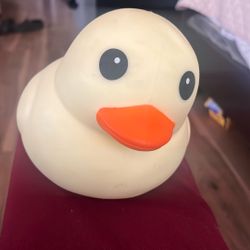 Duck Squeezes 