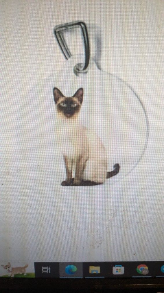Pet ID Tag
