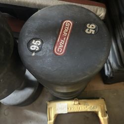 95 lb Star Trac Dumbbell – Commercial Quality