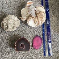 Shells And Miscellaneous 