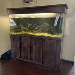 100 Gallon Fresh Water Fish Tank 