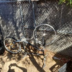 Expedition , Specialized Bike 