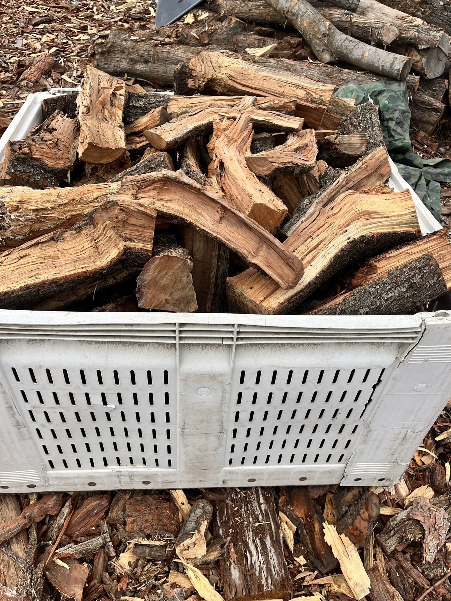 Firewood
