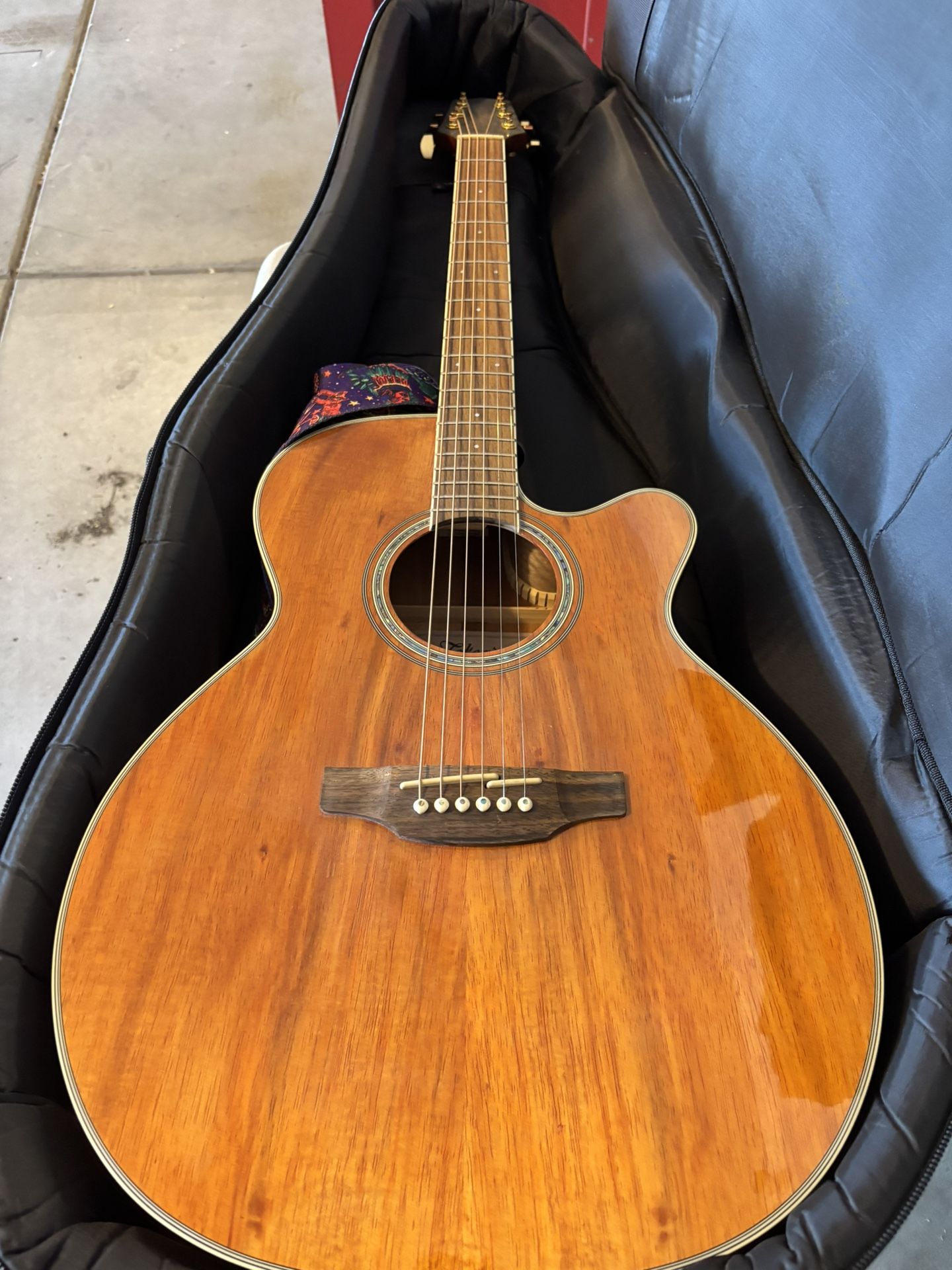 Takamine Electric/accoustic Guitar