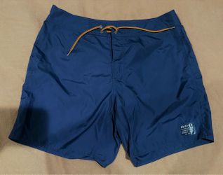 Brixton swim shorts