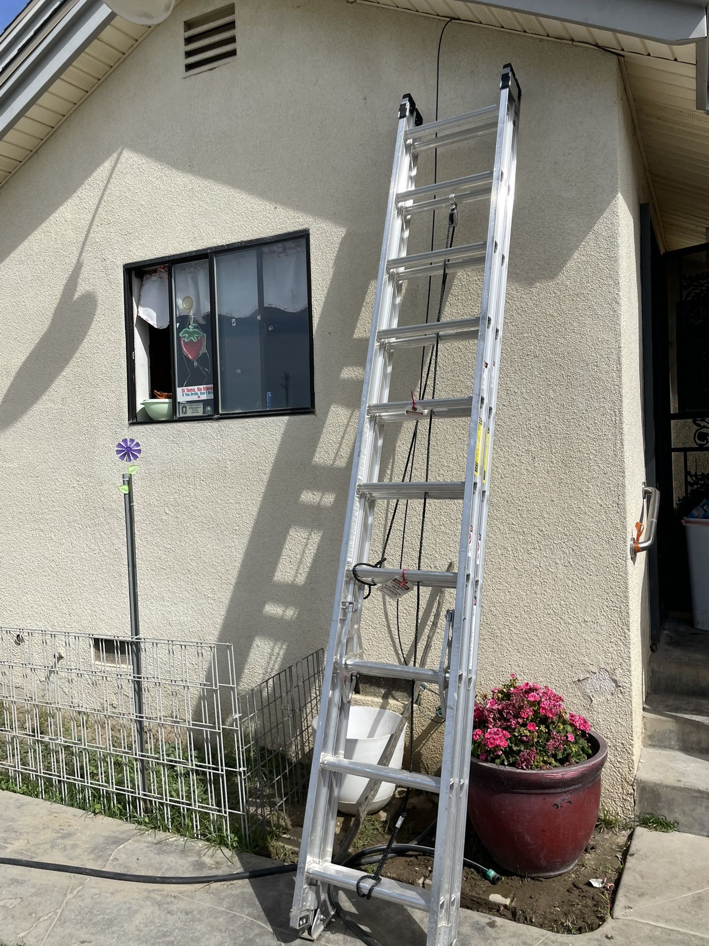 Ladder
