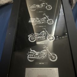 Harley Framed Pics 