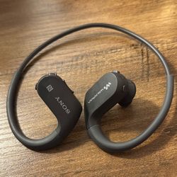 Sony Bluetooth Earbuds