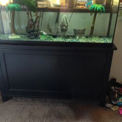 Fish Tank