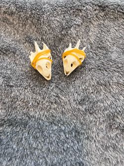 Real Turtle Skulls Small Bone Specimens Taxidermy Oddity Curio Craft