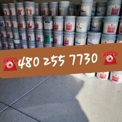 Paint For Sale 