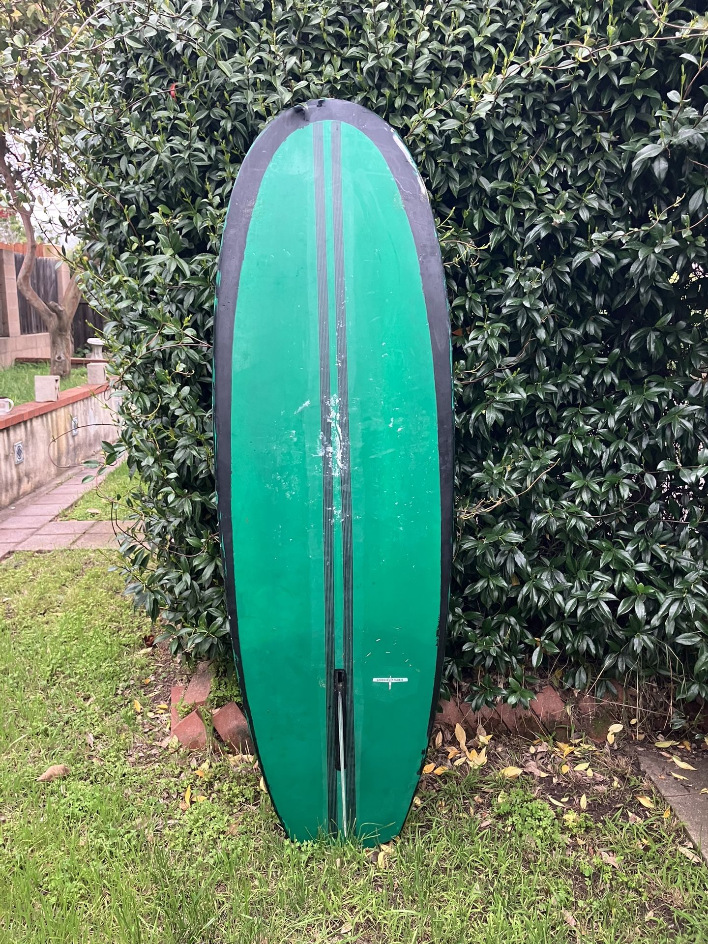 6’4 Santa Barbara Stubbie Surfboard
