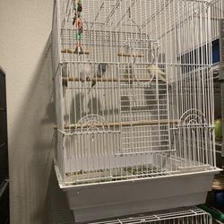 Cage Bird