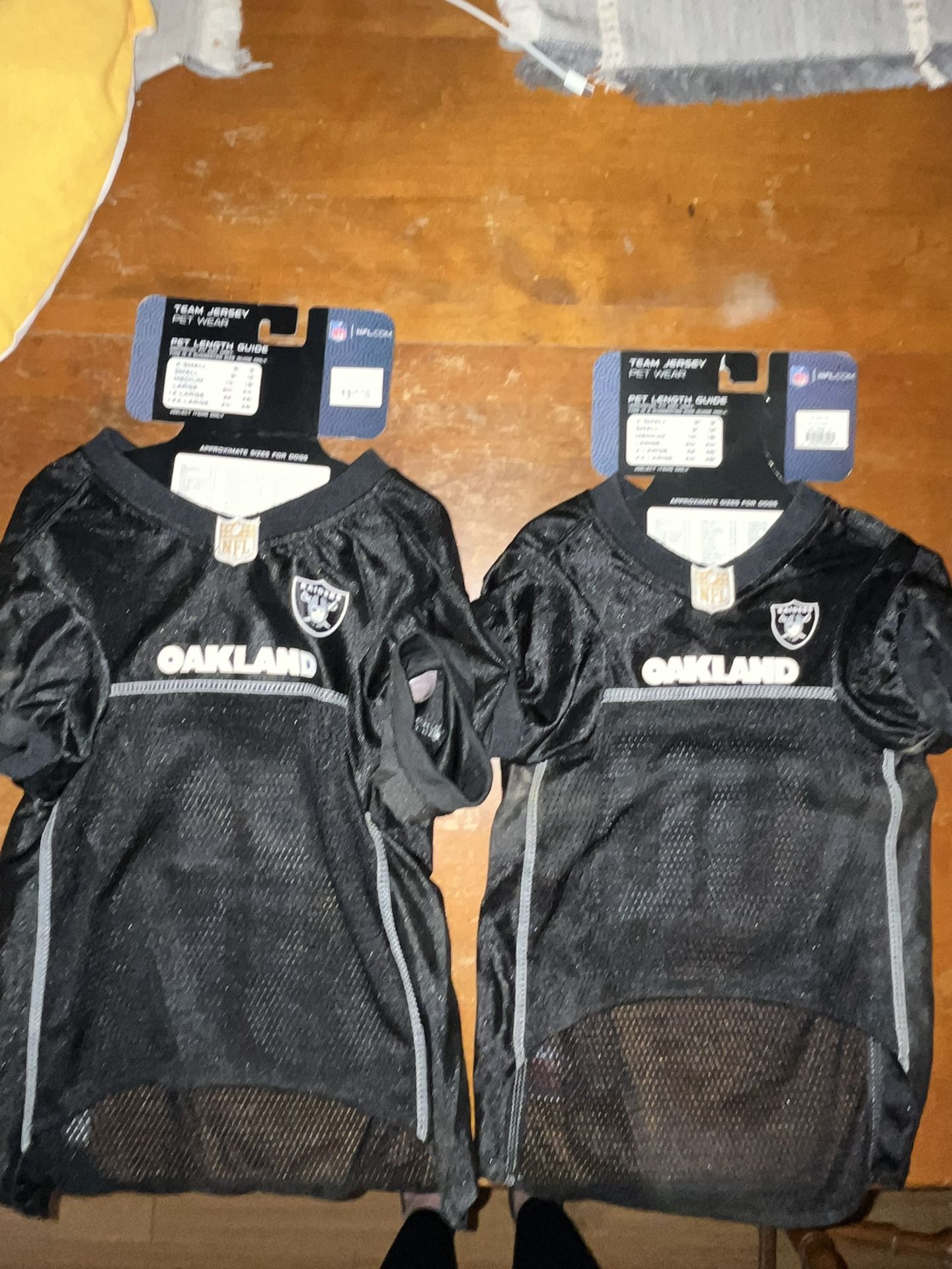 Raiders Dog Jerseys + Collars