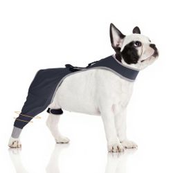 Furtent Dog Sleeve to Prevent Licking for Rear Leg