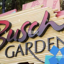  2 Busch Garden Tickets  And Vip Parking