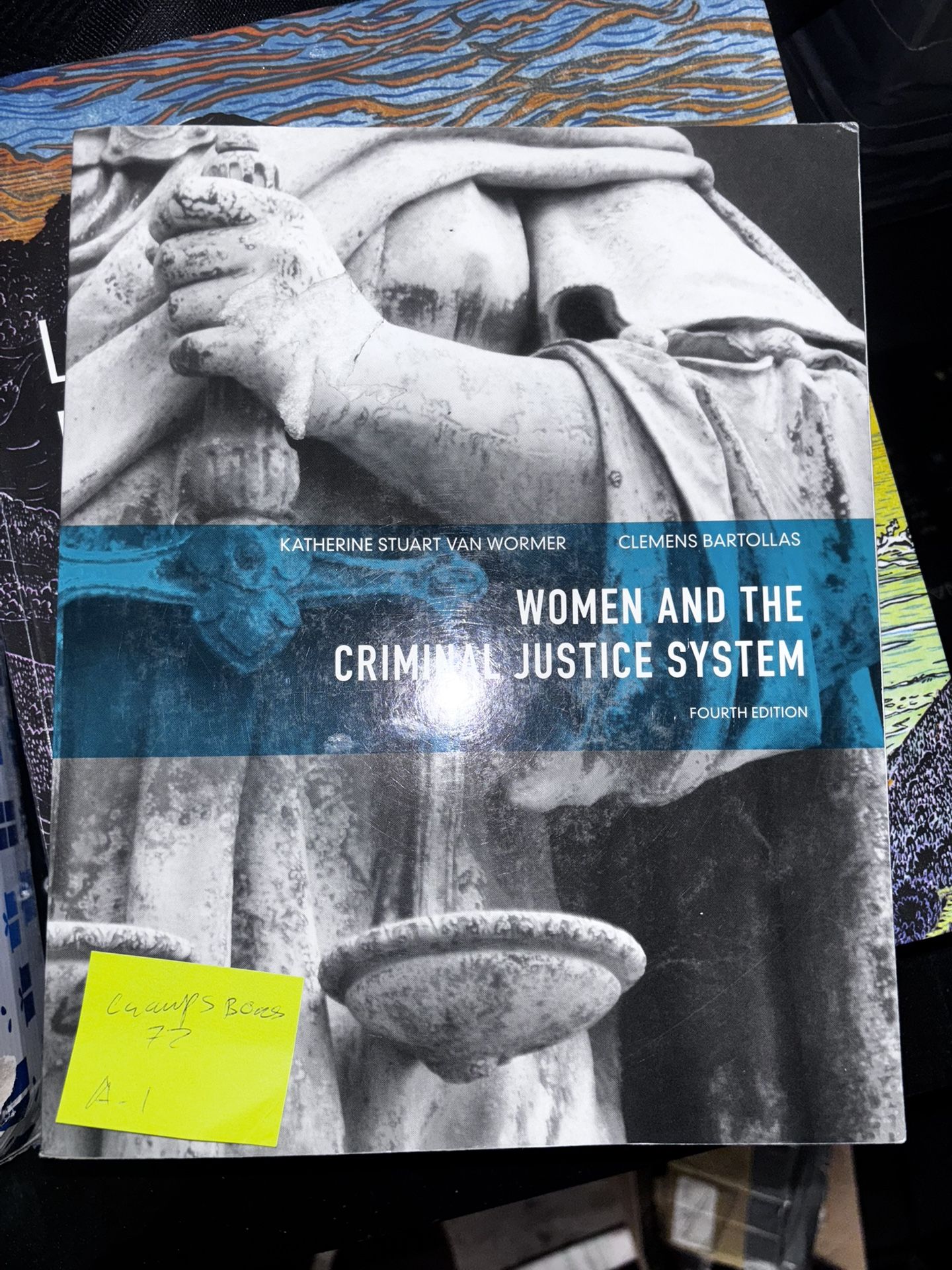 Women In The Criminal Justice System Book