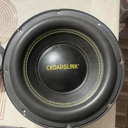 CEDARSLINK 12” 1000 watt dual speaker 