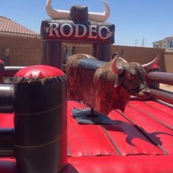 Toro Rodeo