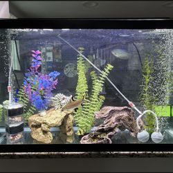 30 Gallons Fish Tank, Size Is 30 x 18,5 x 12