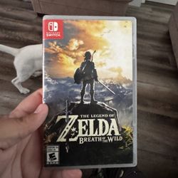 NINTENDO SWITCH ZELDA BREATHE OF THE WILD