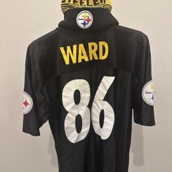 Pittsburg Steeler Vintage Hines Ward Jersey And beanie 