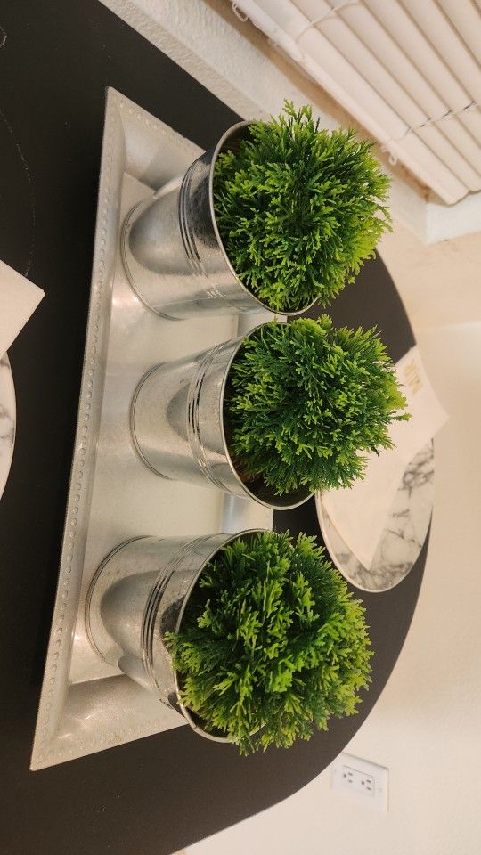 Center Piece