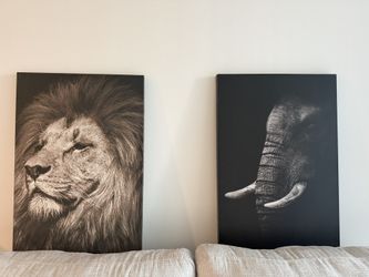 2 Paintings