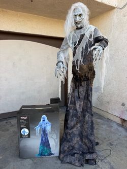 Spirit Halloween animatronic used