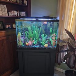 Fish Tank For Sale
