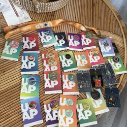 Universal And Disney Annual pass Items