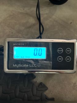 Large pet scale