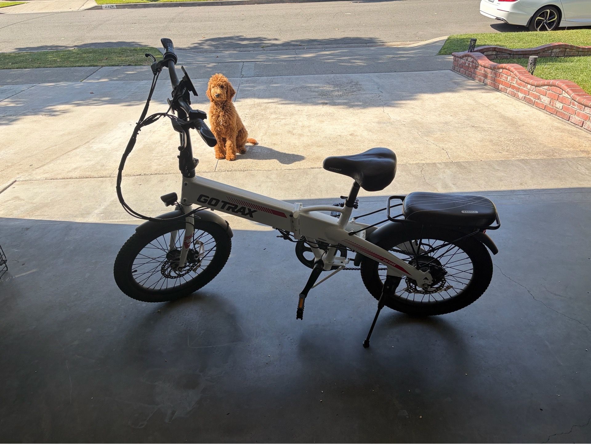 Go tracks e-bike