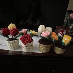 Crochet Flower Pots 