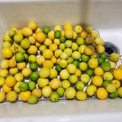 Limon Mexicano