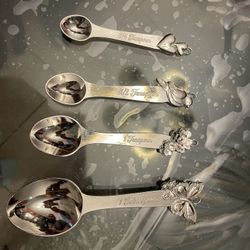 Pioneer Woman Measuring Spoon Set 