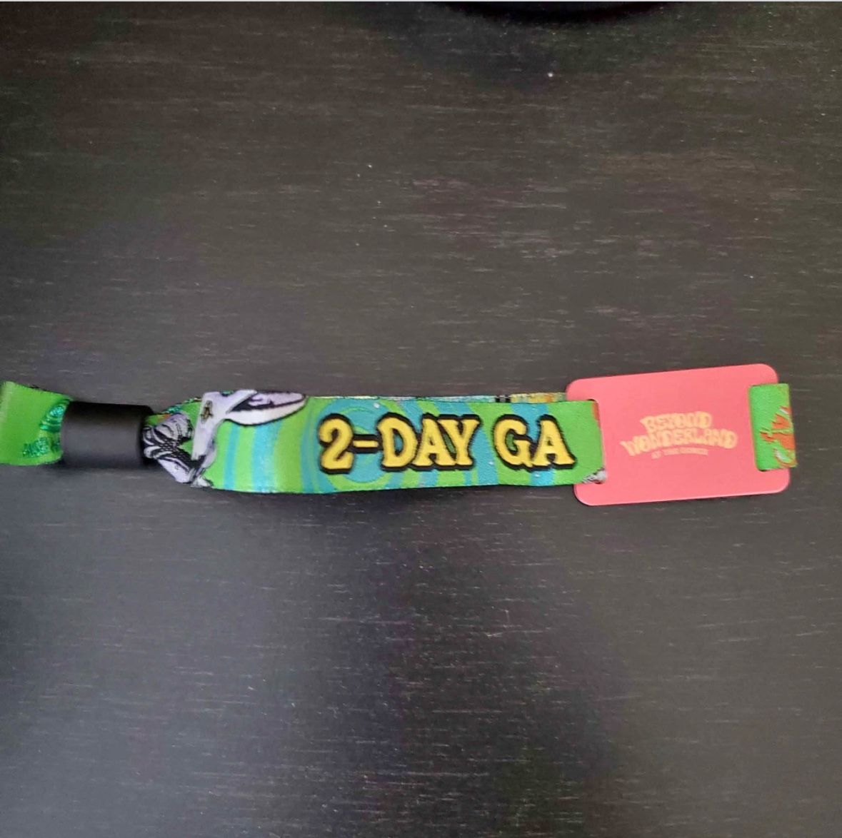 Two Day GA Pass For June 21-22