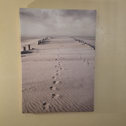 IKEA Pjarteryd 19.5x27.5" 