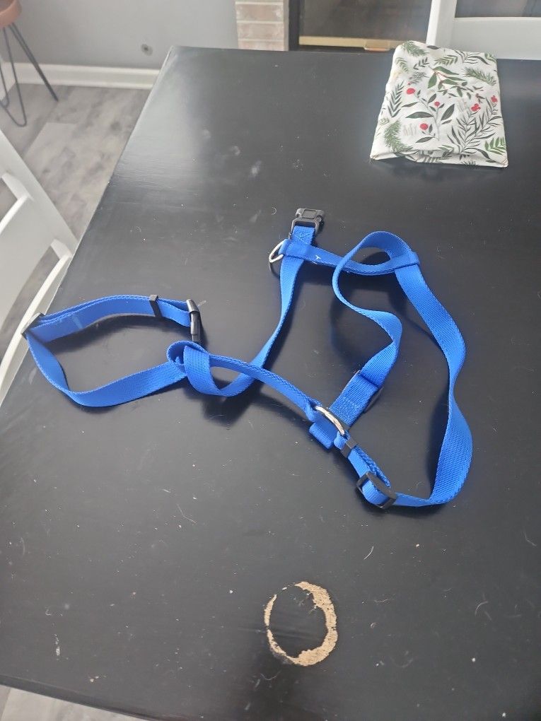 Large Dog Harness Collar