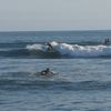 Curren 