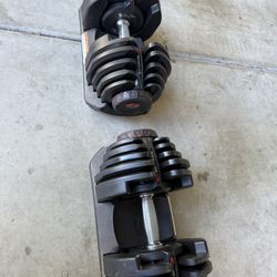 90lb adjustable dumbbells x2 with bench 